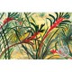 WATERMARK GREETING CARD KANGAROO PAW
